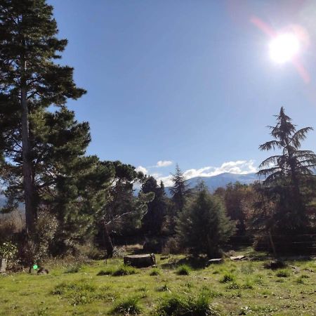 فيلا Casa Rural El Pinar Navas de Riofrio المظهر الخارجي الصورة
